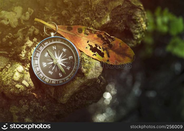 Travel background, compass on ground with leaf in nature with sunlight. Success concept.