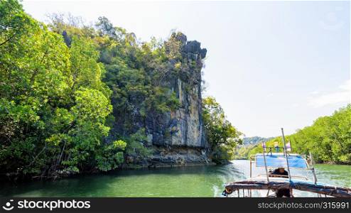 Travel by boat in beautiful nature of green mangrove forest and stone at Phante Melaka Canal. Water route for cruise to Crocodile Cave at Tarutao National Park, Satun, Thailand. ravel by boat at Koh Tarutao, Thailand