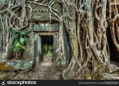 Travel Cambodia concept background - ancient stone door and tree roots, Ta Prohm temple ruins, Angkor, Cambodia