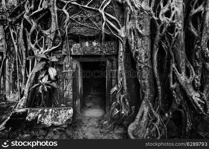 Travel Cambodia concept background - ancient stone door and tree roots, Ta Prohm temple ruins, Angkor, Cambodia. Black and white version