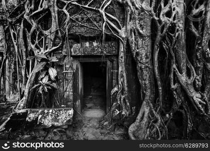 Travel Cambodia concept background - ancient stone door and tree roots, Ta Prohm temple ruins, Angkor, Cambodia. Black and white version