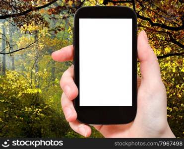 travel concept - hand holds smartphone with cut out screen and autumn woods on background