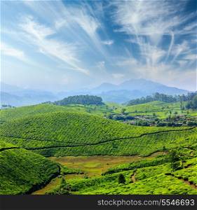 Travel India Kerala concept background - tea plantations. Munnar, Kerala, India