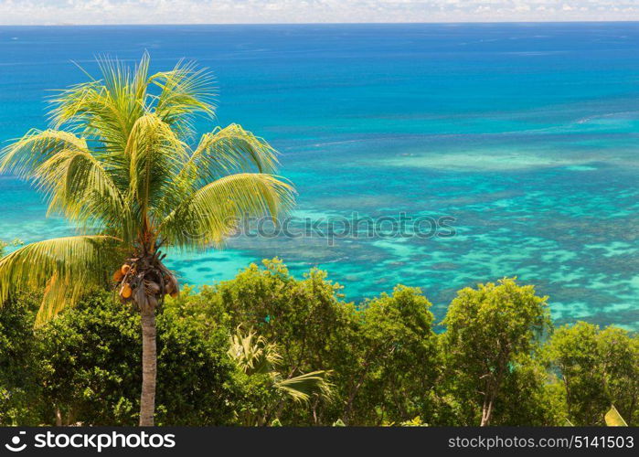 travel, landscape and nature concept - view to indian ocean from island with palm tree. view to indian ocean from island with palm tree