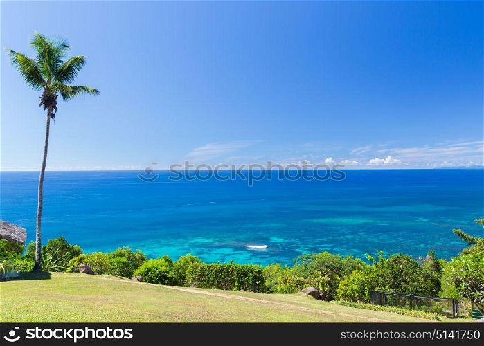 travel, landscape and nature concept - view to indian ocean from island with palm tree. view to indian ocean from island with palm tree