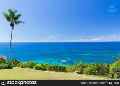 travel, landscape and nature concept - view to indian ocean from island with palm tree. view to indian ocean from island with palm tree