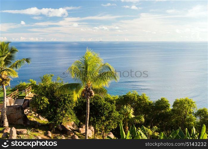travel, landscape and nature concept - view to indian ocean from island with palm trees. view to indian ocean from island with palm trees