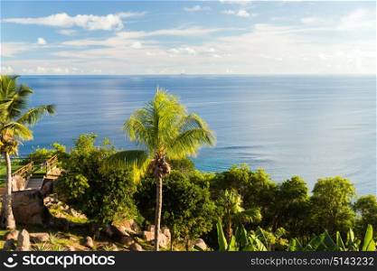 travel, landscape and nature concept - view to indian ocean from island with palm trees. view to indian ocean from island with palm trees