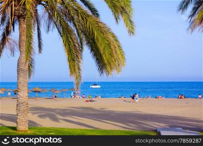 Travel Malagueta beach with palm trees and blue sea in Malaga Spain