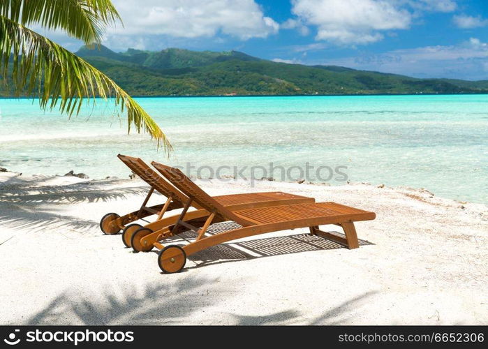 travel, seascape and nature concept - tropical beach with palm tree and two sunbeds in french polynesia. tropical beach with palm tree and sunbeds