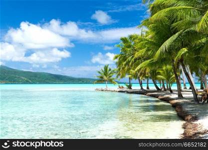 travel, seascape and nature concept - tropical beach with palm trees and sunbeds in french polynesia. palm trees on tropical beach in french polynesia