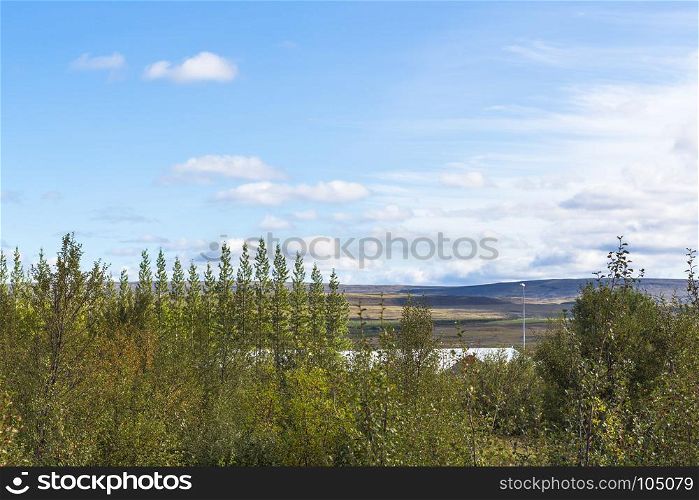 travel to Iceland - woods around Haukadalur geyser area in september