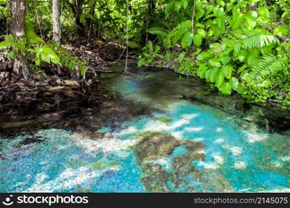 Travel to the beautiful blue ponds.. Emerald Pool