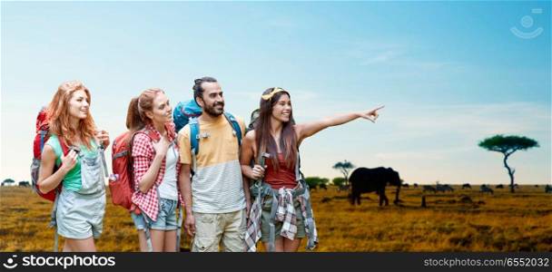 travel, tourism, hike and adventure concept - group of smiling friends with backpacks pointing finger to something over animals in african savannah background. friends with backpacks over african savannah. friends with backpacks over african savannah