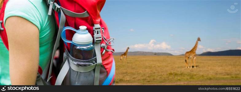 travel, tourism, hike and people concept - close up of woman with water bottle in backpack pocket over giraffe in african savannah background. close up of woman with water bottle in backpack. close up of woman with water bottle in backpack