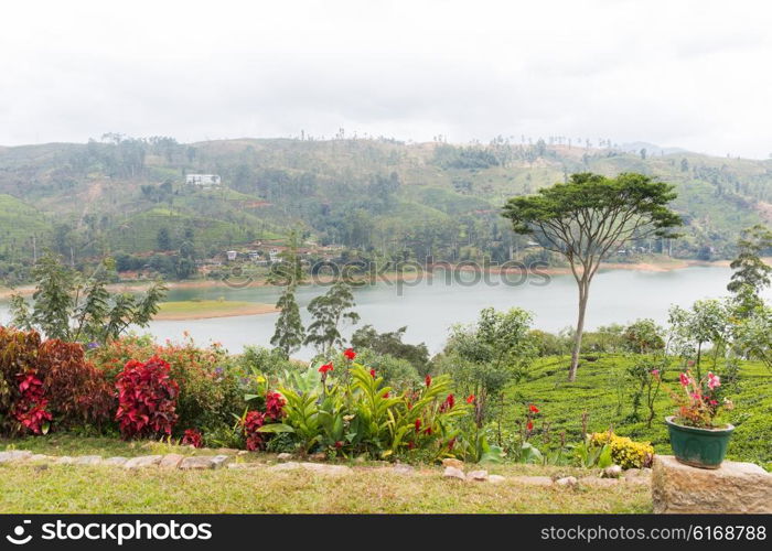 travel, tourism, nature and landscape concept - view to lake or river from land hills on Sri Lanka