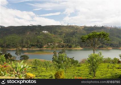 travel, tourism, nature and landscape concept - view to lake or river from land hills on Sri Lanka