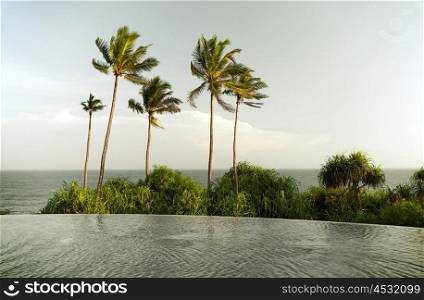 travel, tourism, vacation and summer holidays concept - view from infinity edge pool to ocean and palms on Sri Lanka