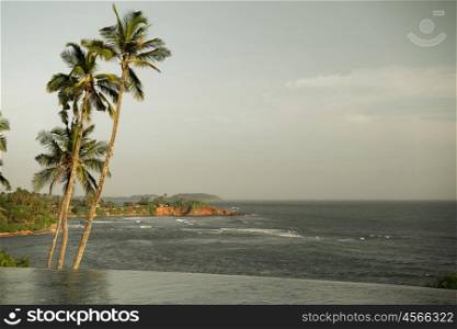 travel, tourism, vacation and summer holidays concept - view from infinity edge pool to ocean and palms on Sri Lanka beach
