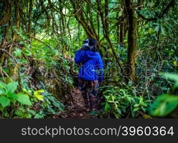 traveler walking on the path in forest