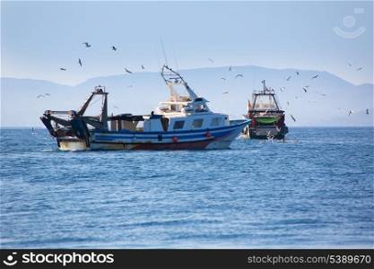 Trawler boats with seagulls in Ibiza Formentera islands