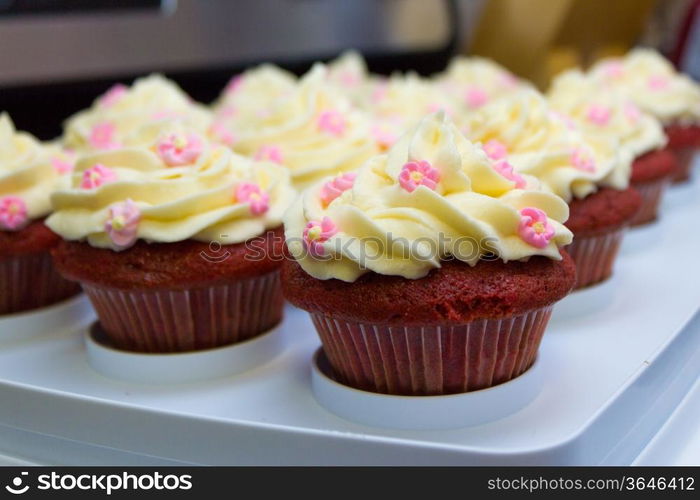 Tray of red velvet cupcakes with buttercream icing.