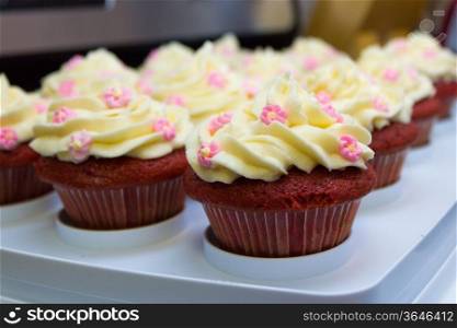 Tray of red velvet cupcakes with buttercream icing.