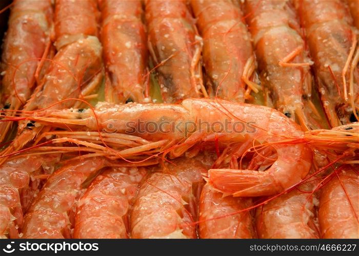 Tray of shrimp doused in sauce ready to bake