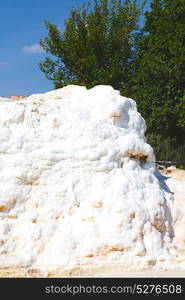 tree abstract in pamukkale turkey asia the old calcium bath and travertine water