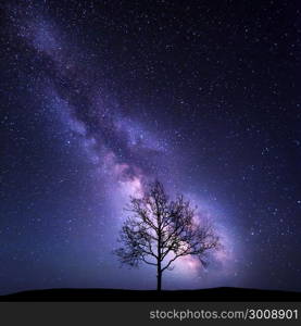 Tree against Milky Way. Night landscape. Night colorful scenery. Starry sky in summer. Beautiful universe. Space background with galaxy and old tree. Purple milky way. Travel