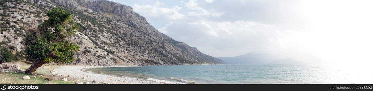 Tree an the bank of Egirdir lake, Turkey