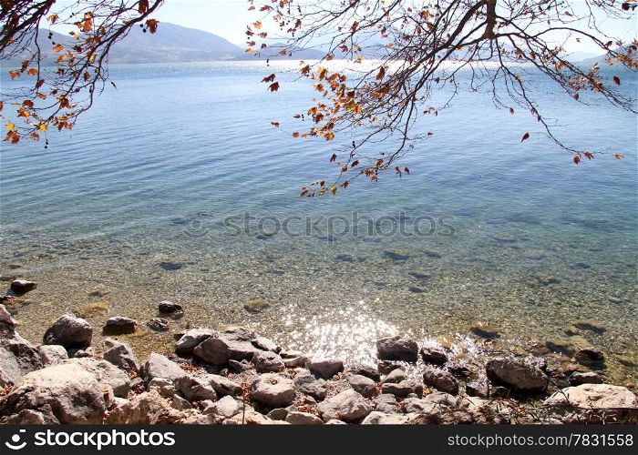 Tree and autumn on the lake Egirdir, Turkey