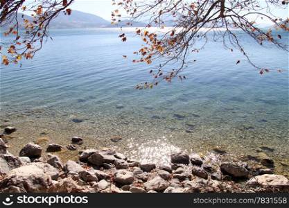 Tree and autumn on the lake Egirdir, Turkey