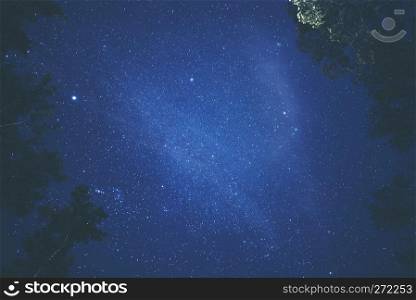 tree and blue sky, star and milky way