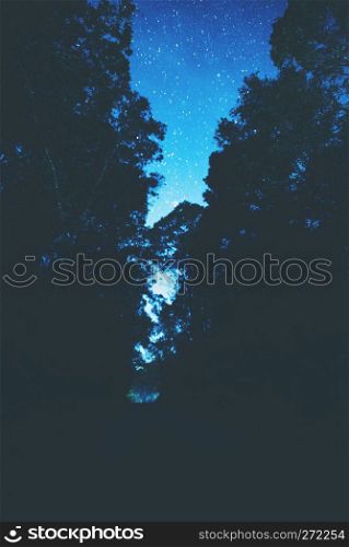 tree and blue sky, star and milky way