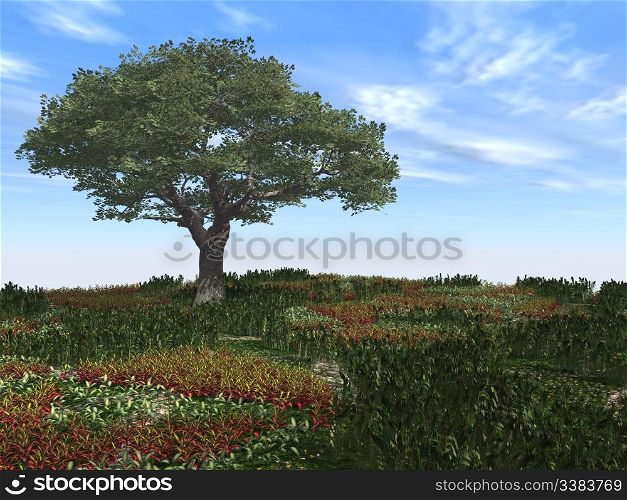 Tree and field. A summery landscape, computer modelling