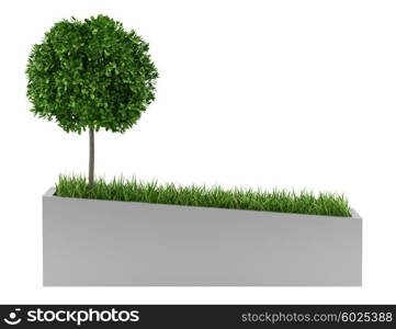 tree and grass in concrete planter isolated on white background