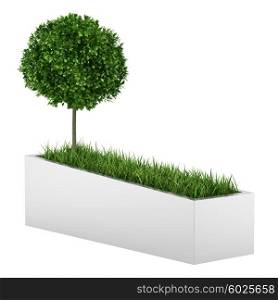 tree and grass in concrete planter isolated on white background