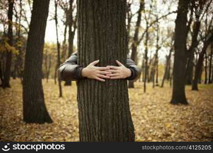 tree and hands of man ,special toned photo f/x, selective focus on hands