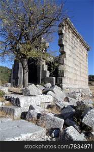 Tree and ruins of ancient temple in Adada, Turkey