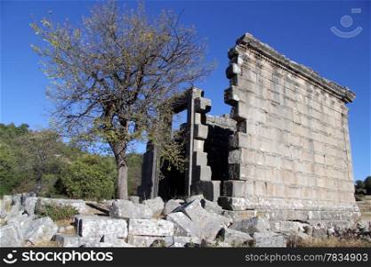 Tree and wall of temple in Adada, Turkey