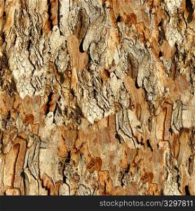Tree Bark 16