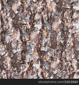 Tree Bark 25