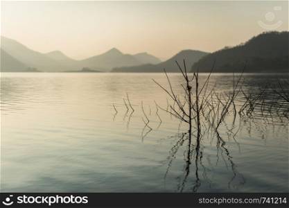 Tree branch in the lake with mountain and sky landscape