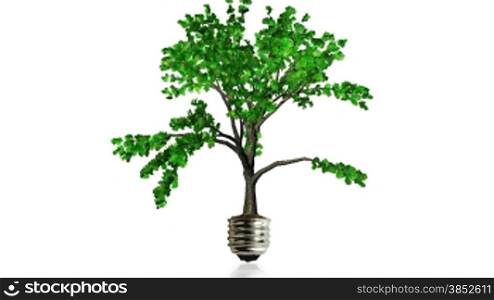 Tree growing from am old bulb with ground reflection,green energy concept,Alpha included