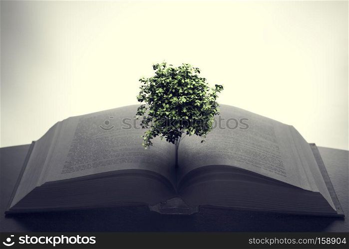Tree growing from an open book. Education, imagination, creativity concept.. Tree growing from an open book. Education, imagination, creativity