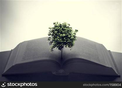Tree growing from an open book. Education, imagination, creativity concept.. Tree growing from an open book. Education, imagination, creativity