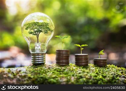 tree growing in ligthbulb with plant growth on money in nature. concept energy and business