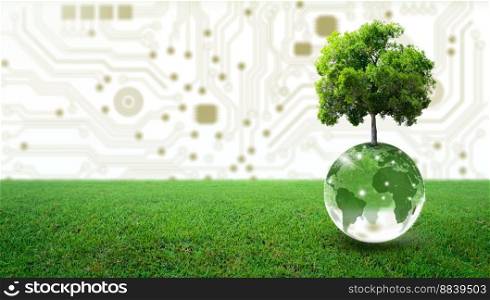 Tree growing on crystal globe and green grass. Digital Convergence and Technology Convergence. Environmental Technology, Green Computing, Green Technology, Green IT, csr, and IT ethics Concept.
