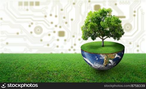 Tree growing on half of earth with green grass. Digital and Technology Convergence. Green Computing, Green Technology, Green IT, csr, and IT ethics Concept. Image furnished by NASA.
